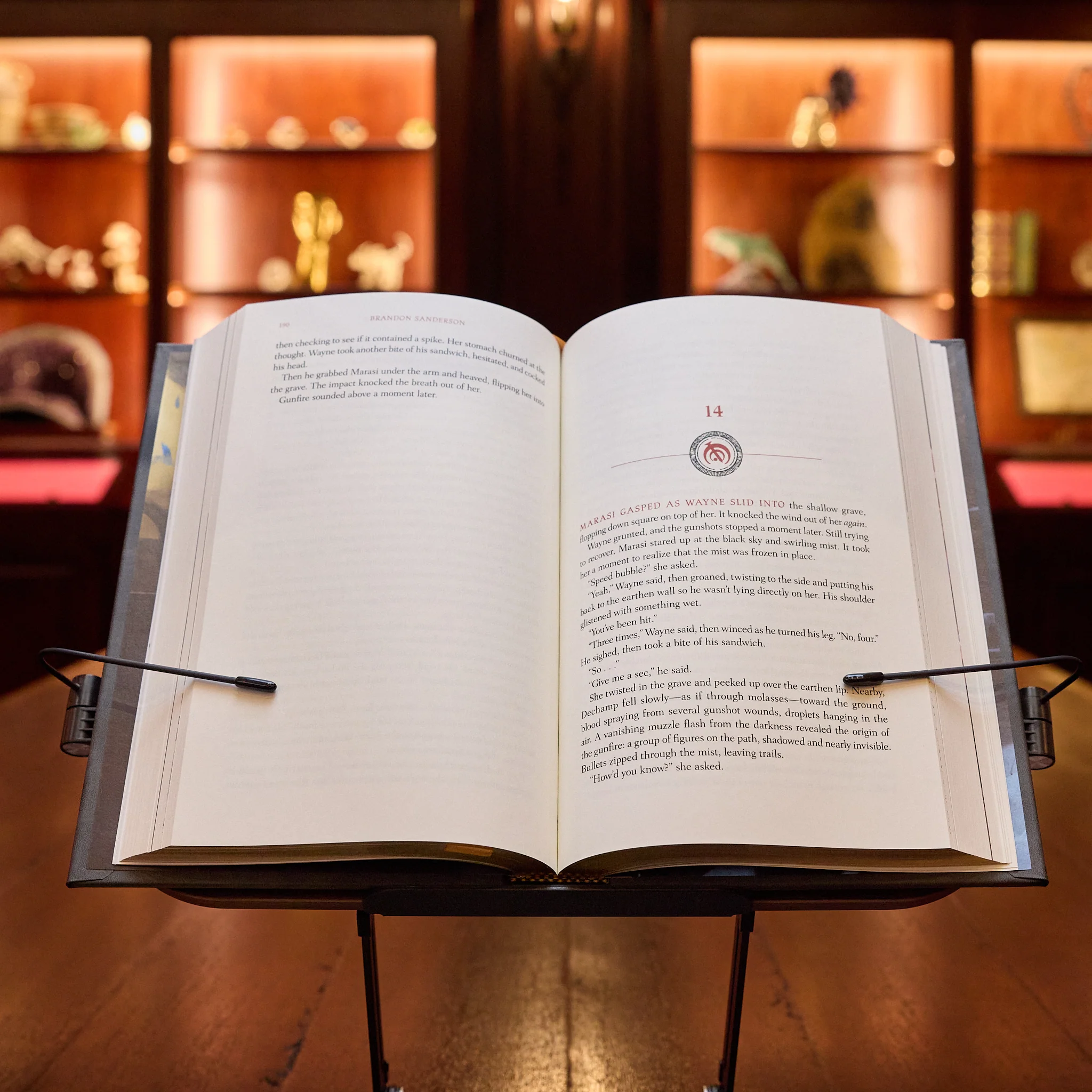 The Bands of Mourning Leatherbound Book - Signed - Image 7
